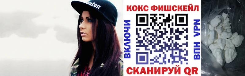 Cocaine FishScale  мега как войти  Димитровград 