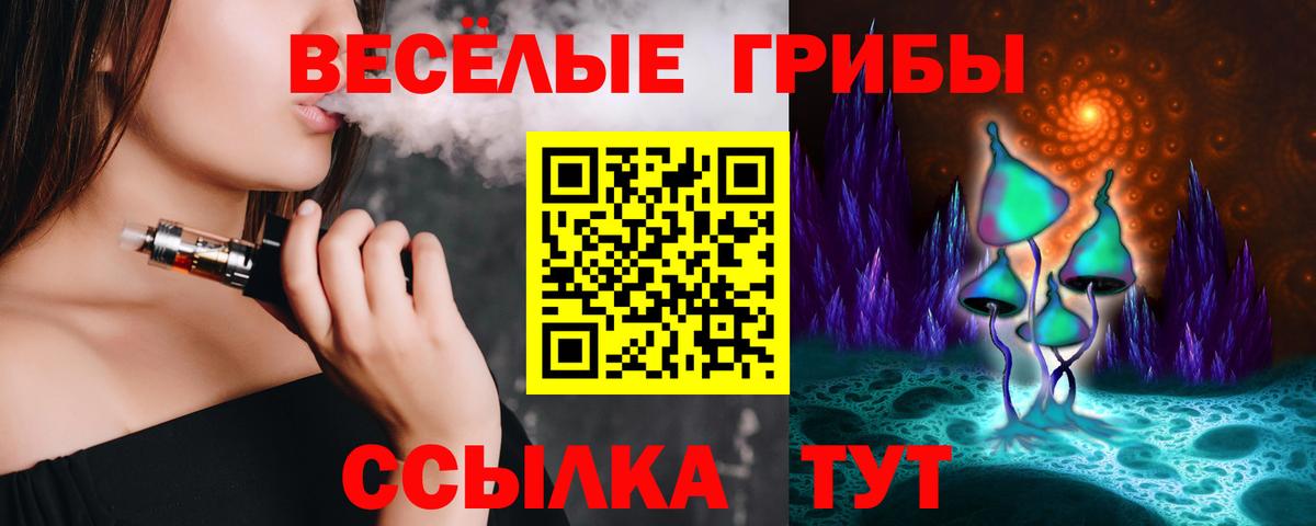 Димитровград  Галлюциногенные грибы Cubensis  где купить наркотик  Псилоцибиновые грибы Cubensis  Вход с VPN 
