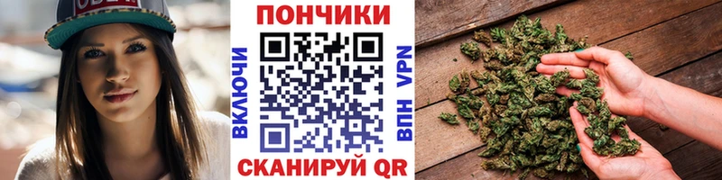 Шишки марихуана Amnesia  Димитровград 